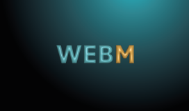 webm logo